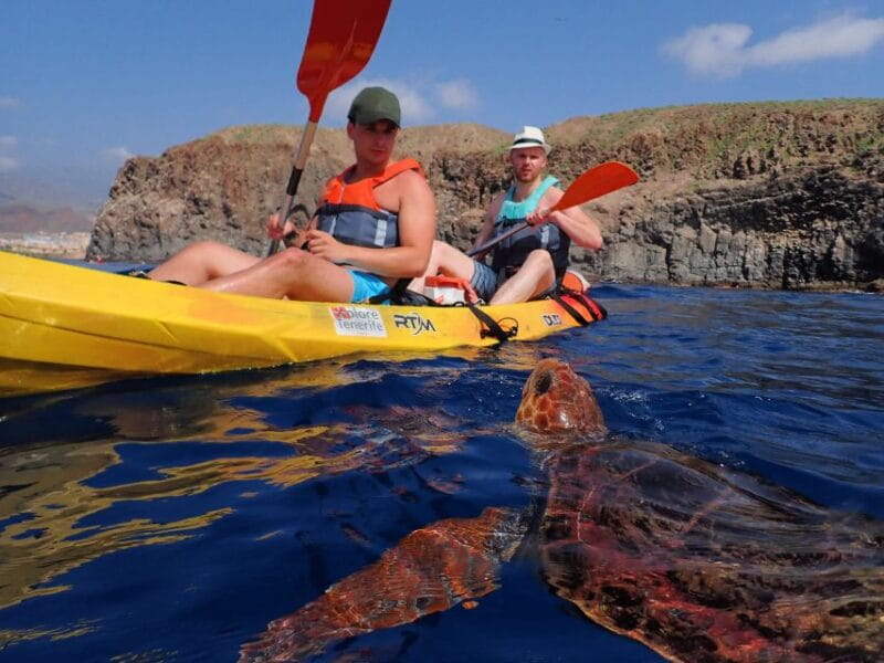 Tenerife: Kayak and Snorkel with Turtles, Wetsuits Included - Key Points and Takeaways