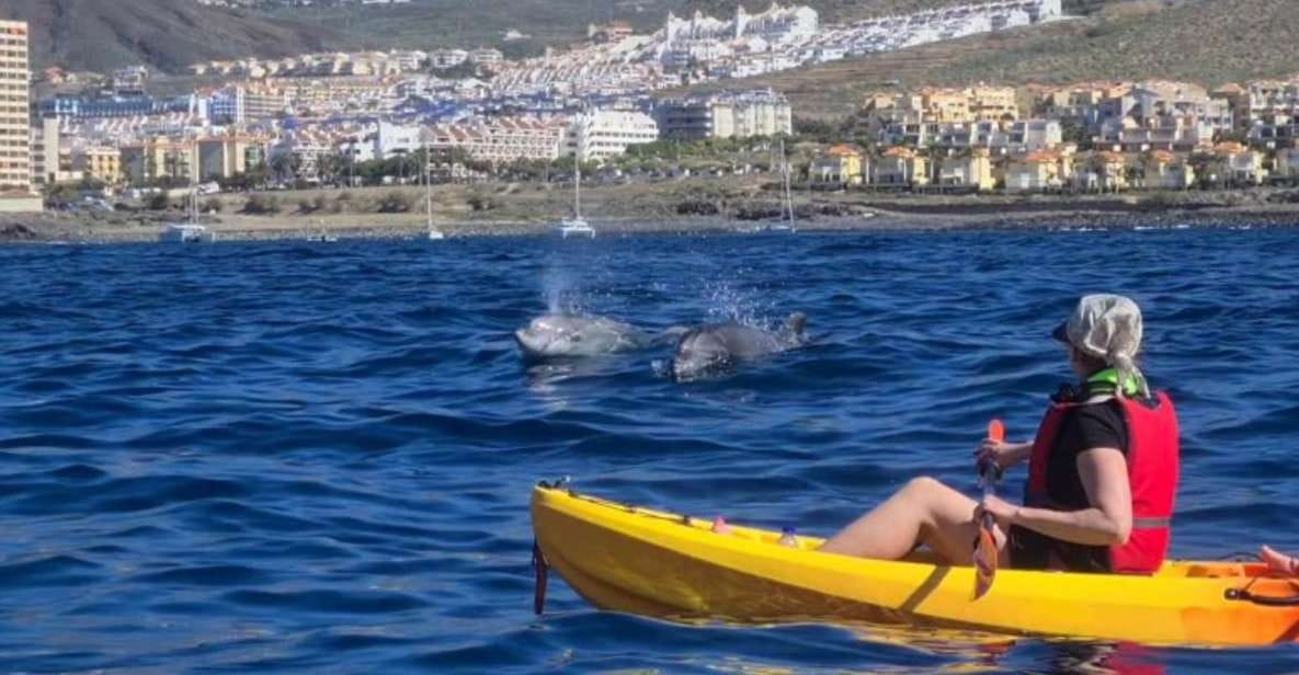 Tenerife: Kayak Safari and Sea Turtle Snorkeling - Starting Locations