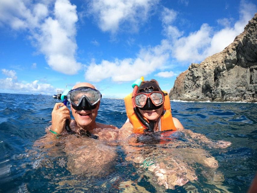 Tenerife: Kayak Safari With Snorkeling in a Turtle Habitat - Key Points