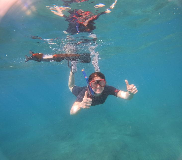 Tenerife: Kayak Safari With Snorkeling in a Turtle Habitat - Health and Safety Guidelines