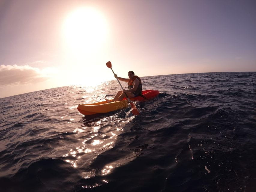 Tenerife: Kayak Safari With Snorkeling in a Turtle Habitat - Customer Ratings and Reviews