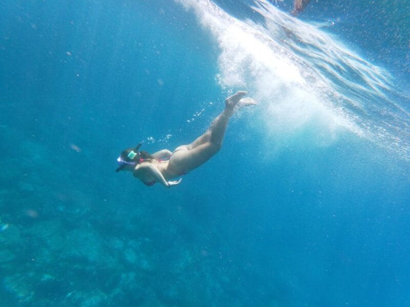 Tenerife: Kayak & Snorkel with Turtles & Dolphins w/Photos - Wildlife Watching and the Search for Dolphins