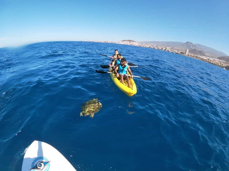 Tenerife: Kayak & Snorkel with Turtles & Dolphins w/Photos - Returning and Refreshing: A Well-Deserved Break
