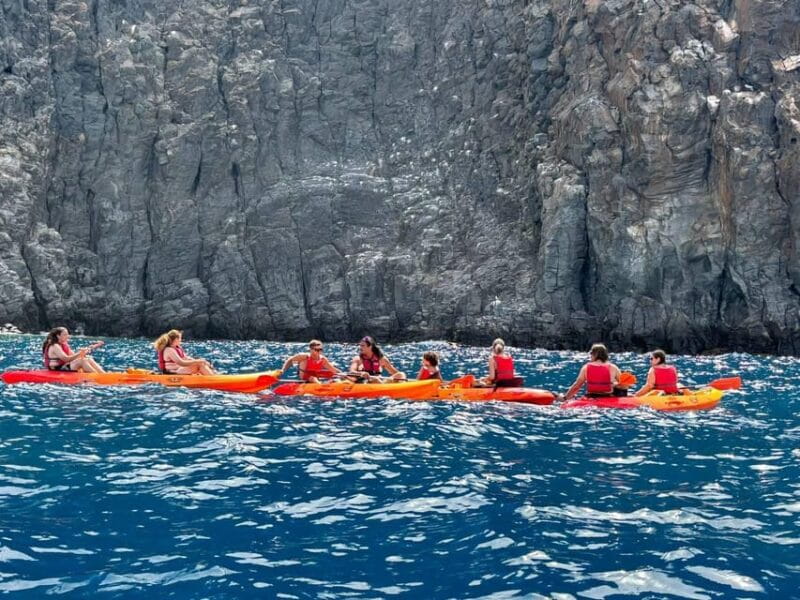 Tenerife: Kayak & Snorkeling, Marine Fauna Watching - Final Thoughts