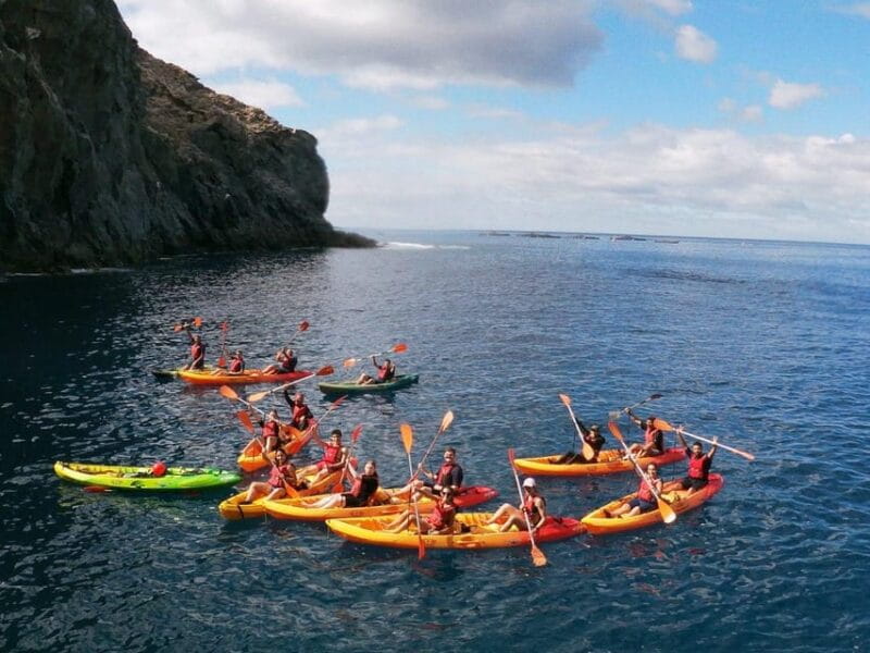 Tenerife: Kayak & Snorkeling, Marine Fauna Watching - FAQ