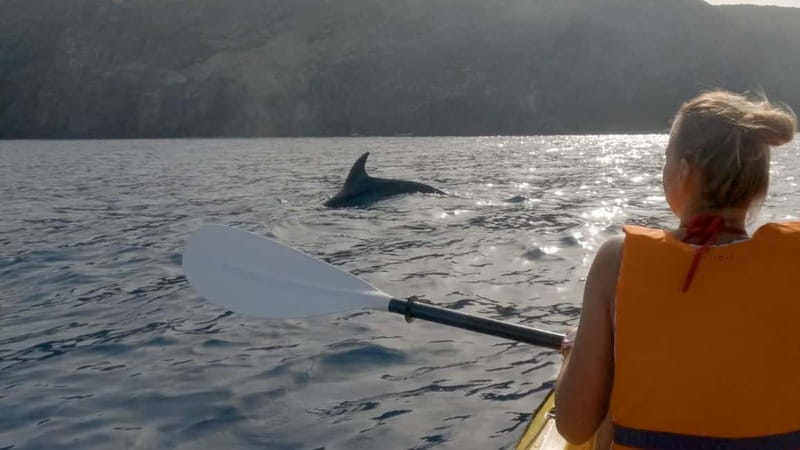 Tenerife: Kayak & Snorkeling Tour - Small Groups - Final Thoughts: Who Should Book This?