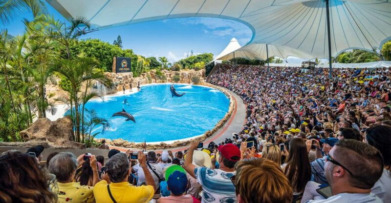 Tenerife: Loro Parque Entry Ticket - The Animal Exhibits: What You’ll See