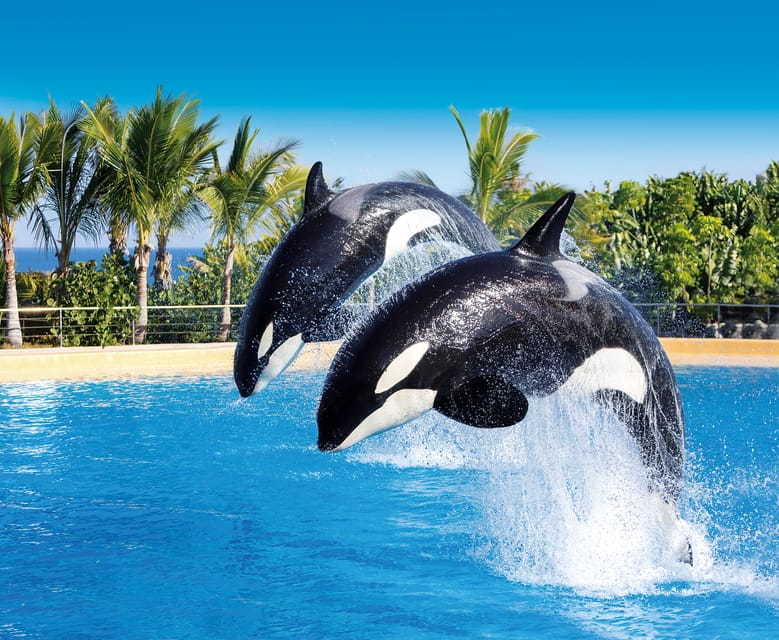 Tenerife: Loro Parque & Siam Park Combined Tickets - Attractions at Loro Parque and Siam Park