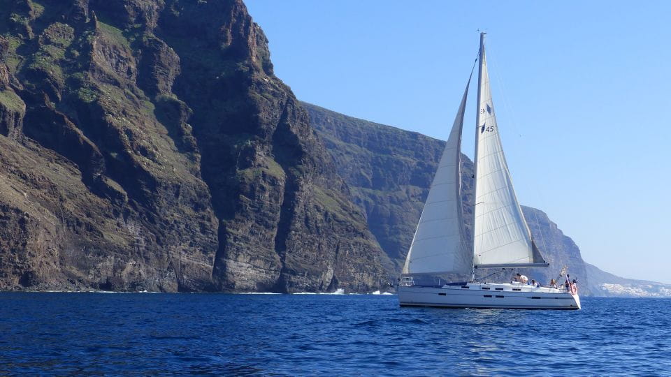 Tenerife: Los Gigantes Whale Watching Cruise by Sail Boat - Cruise Experience