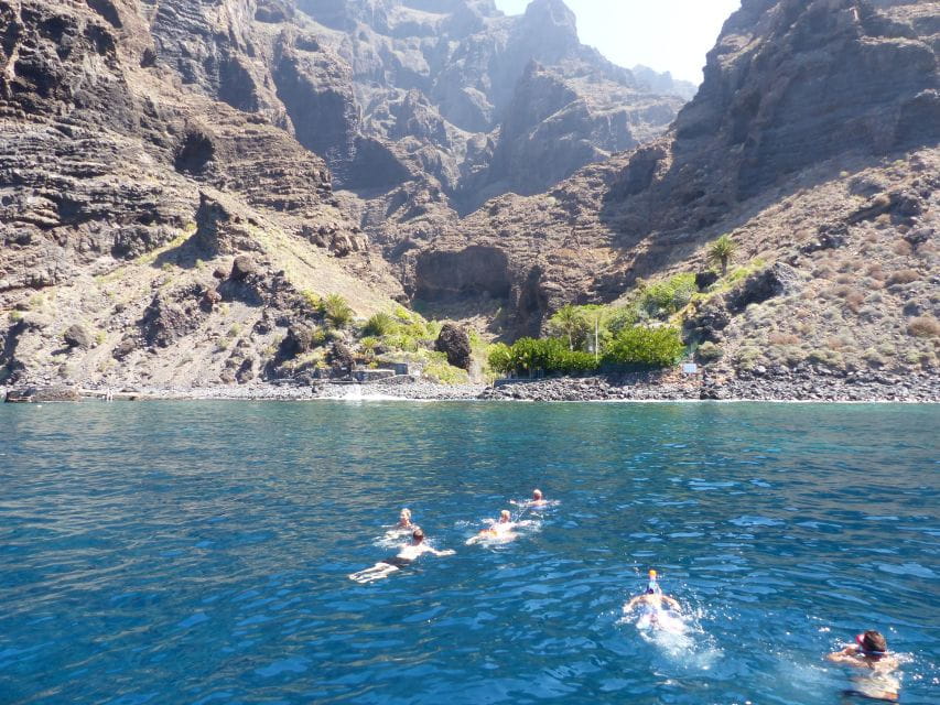 Tenerife: Los Gigantes Whale Watching Cruise by Sail Boat - What to Expect