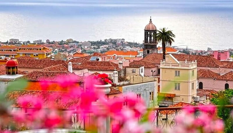 Tenerife: Mount Teide, Icod, and Garachico with its natural pools! - Price and Overall Value