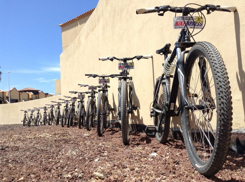 Tenerife: Mountain Bike Rental With Hotel Delivery - Key Points