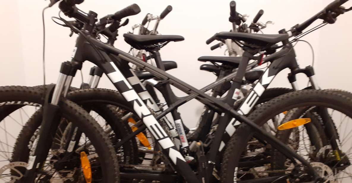 Tenerife: Mountain Bike Rental With Hotel Delivery - Pricing and Cancellation Policy