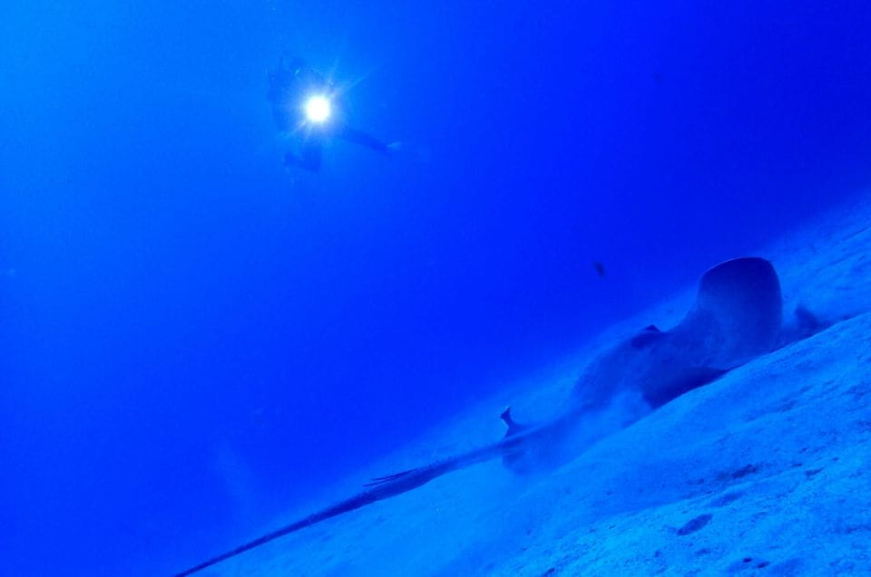 Tenerife: Pack of 2 Private Dives for Experienced Divers - Key Points