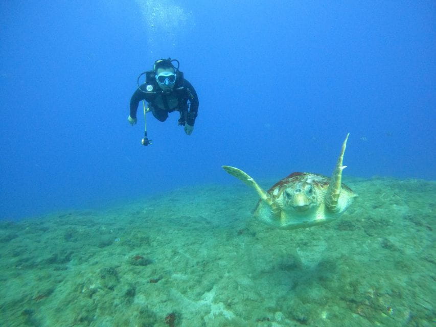 Tenerife: PADI Advanced Open Water Diver Course - Certification Process