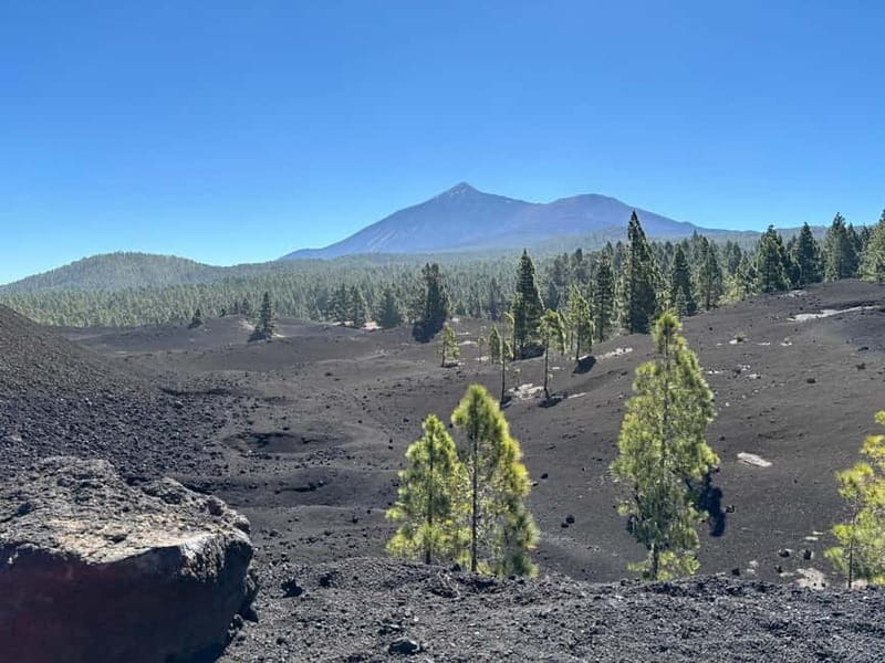 Tenerife: premium e-bike ride at Chineyro volcanic area - Who Should Consider This Tour?