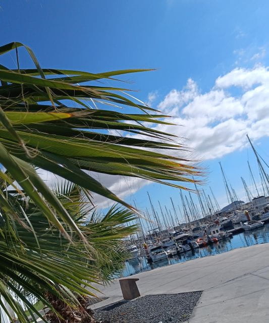 Tenerife: PRIVATE Catamaran Cruise With Lunch and Drinks - Important Considerations