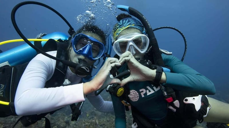 Tenerife: Private Scuba DivingCertified Instructor & Photos - Key points / Takeaways