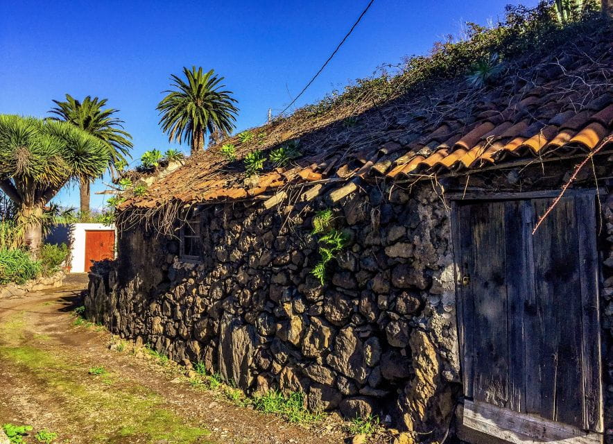 Tenerife Private Tour: Full-Day Historic North - Scenic Destinations