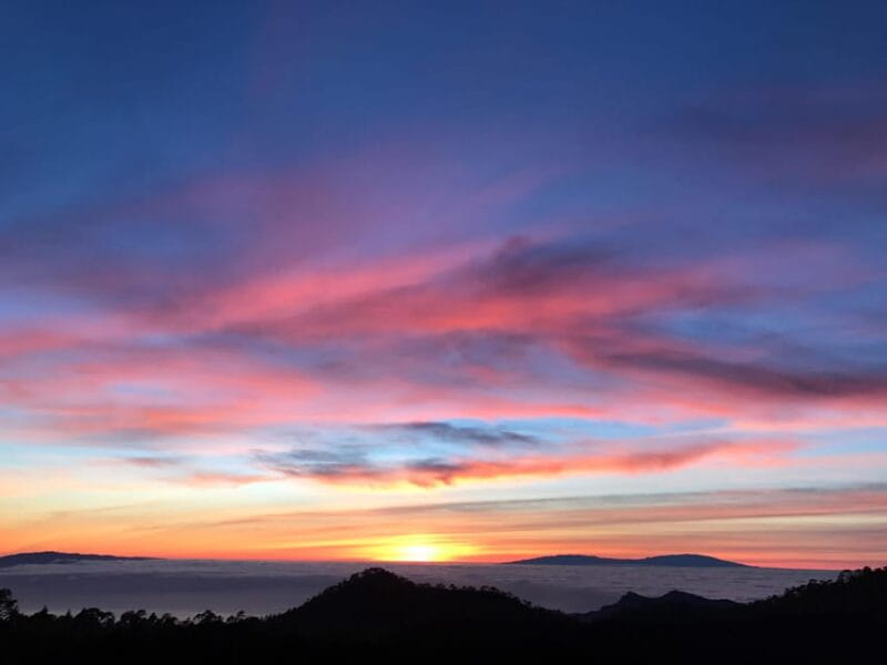 Tenerife: Private VIP Tour Teide National Park - Final Thoughts: Is This the Right Tour for You?