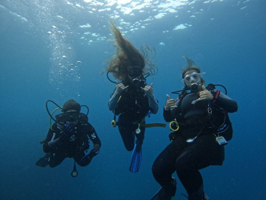 Tenerife: Puerto Colon Certified Scuba Dive by Speed Boat - Experience Highlights