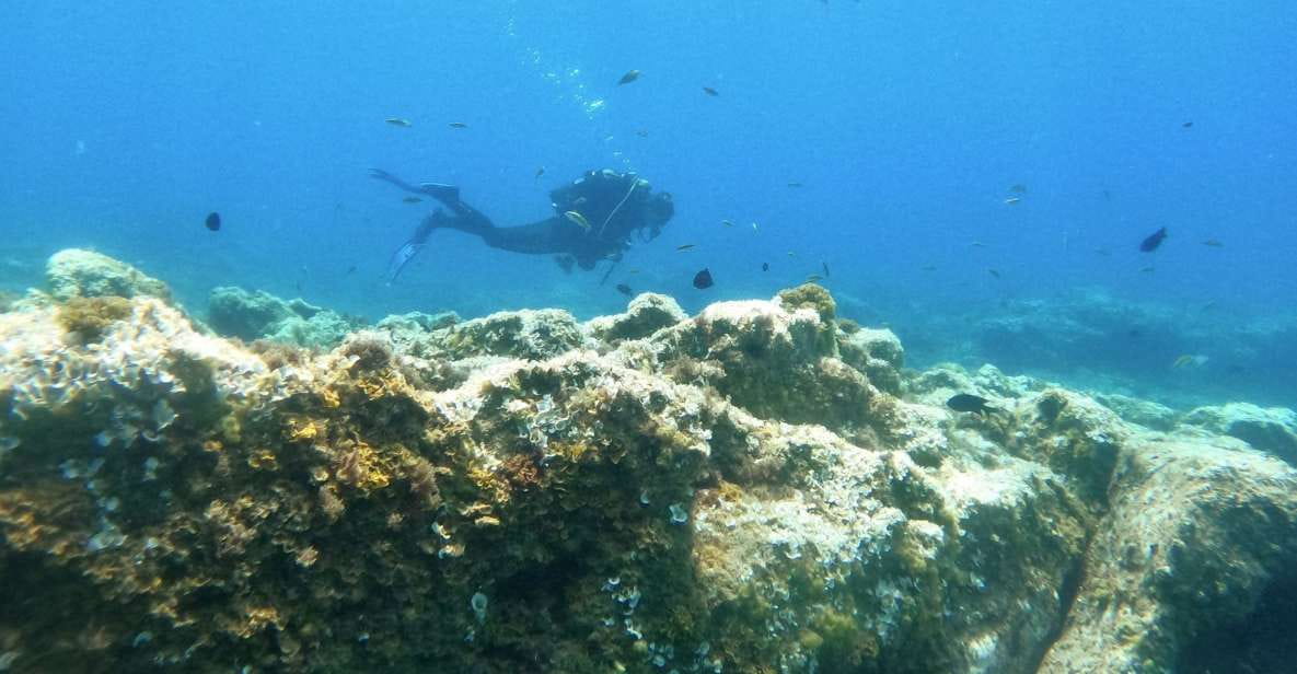 Tenerife: Puerto Colon Certified Scuba Dive by Speed Boat - Inclusions and Requirements