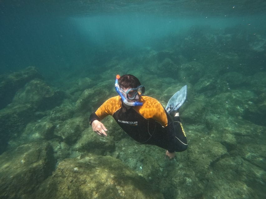 Tenerife: Puerto Colon Snorkel Safari by Speed Boat - Itinerary Highlights