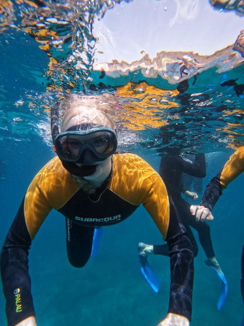 Tenerife: Puerto Colon Snorkel Safari by Speed Boat - Inclusions and What to Bring