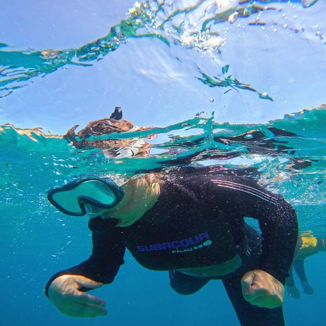 Tenerife: Puerto Colon Snorkel Safari by Speed Boat - Exploring Puerto Colón