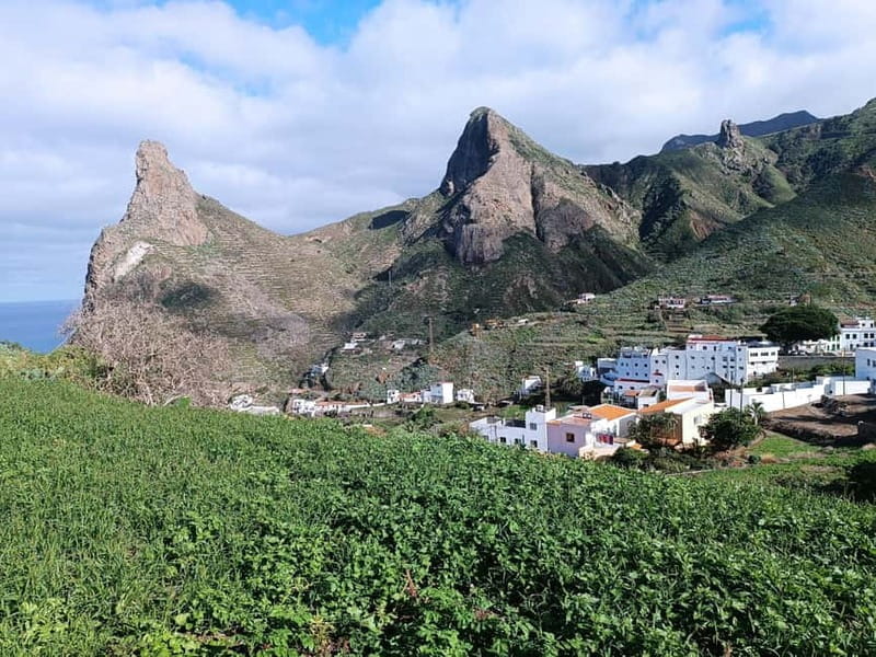 Tenerife-Puerto Cruz: Avatar Hiking, Bajamar and Cocktail - Exploring Tenerife’s Hidden Gems: Avatar Hiking, Bajamar, and Cocktails