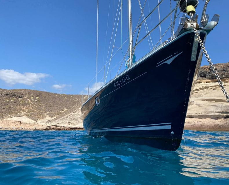Tenerife: Sailing Excursion With Whale and Dolphin Watching - Things To Know