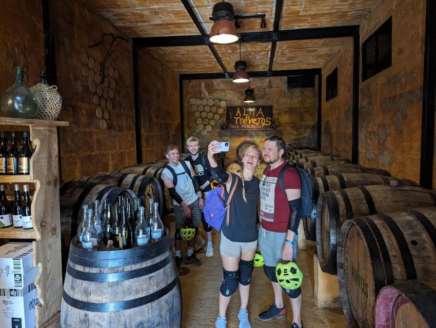 Tenerife: Scenic Biking Tour With Wine and Cheese - Scenic Views