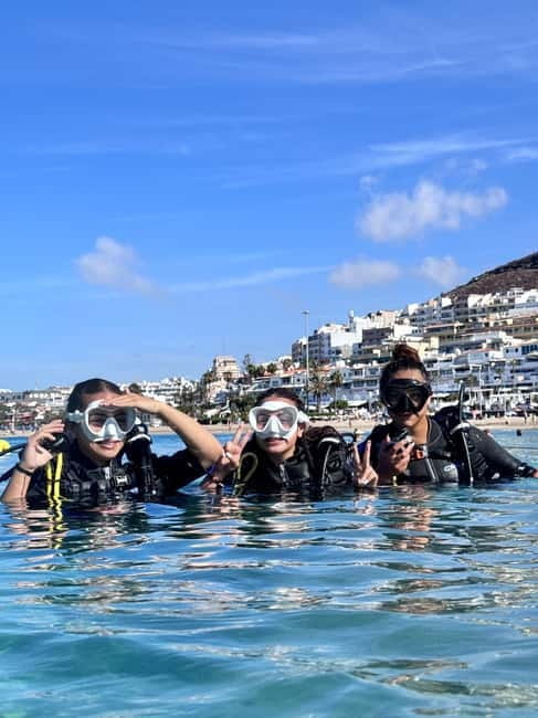 Tenerife: Scuba Dive & Fun, Discover the Magic of the Ocean - Key Points / Takeaways