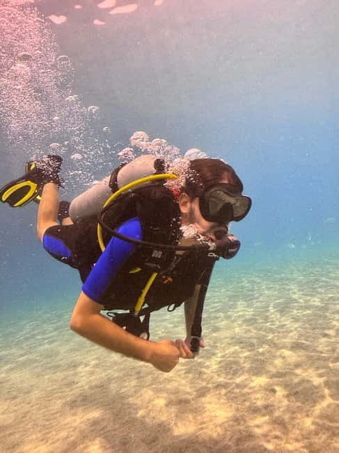 Tenerife: Scuba Dive & Fun, Discover the Magic of the Ocean - Who This Experience Is Perfect For