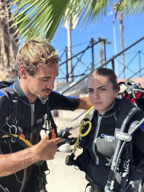 Tenerife: Scuba Dive & Fun, Discover the Magic of the Ocean - Price and Logistics