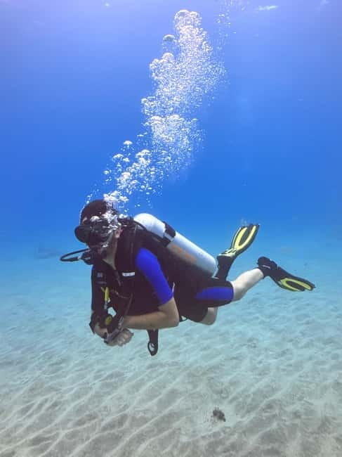 Tenerife: Scuba Dive & Fun, Discover the Magic of the Ocean - The Overall Experience: Is It Worth It?