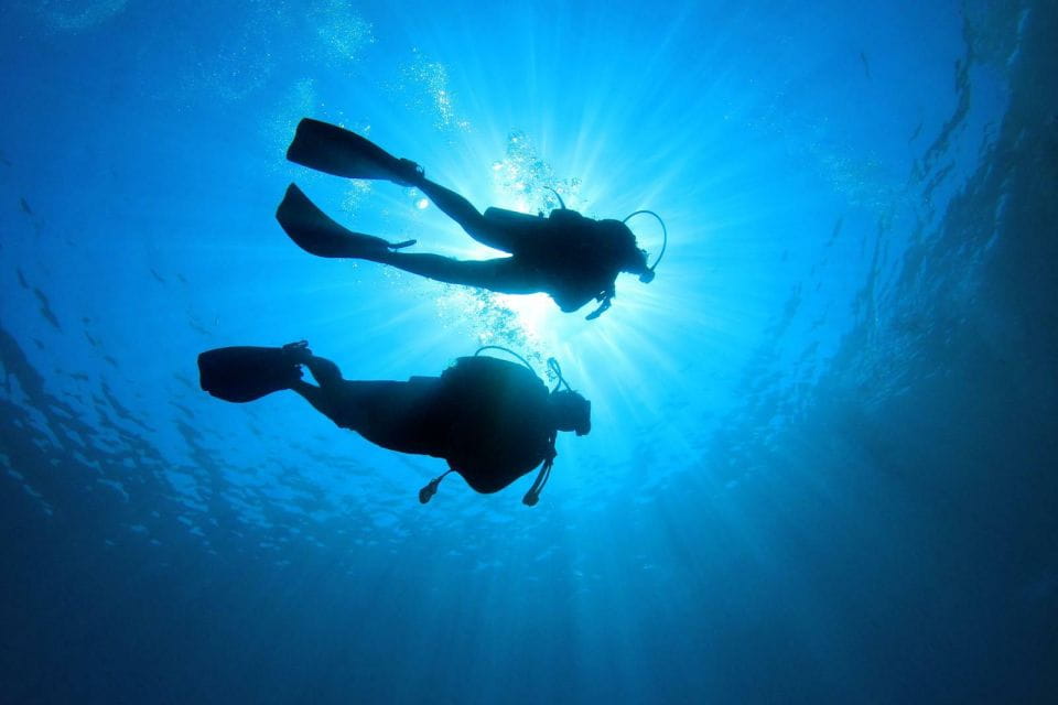 Tenerife: Scuba Diving Experience With Instructor and Gear - Diving Locations
