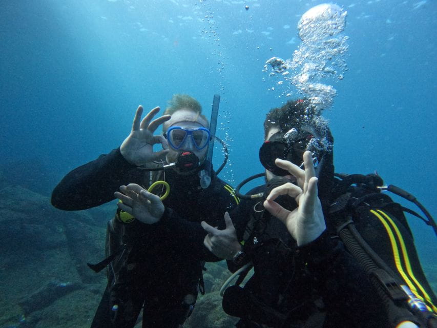 Tenerife: Scuba Diving for Certified Divers in Tenerife - Pricing and Booking Details