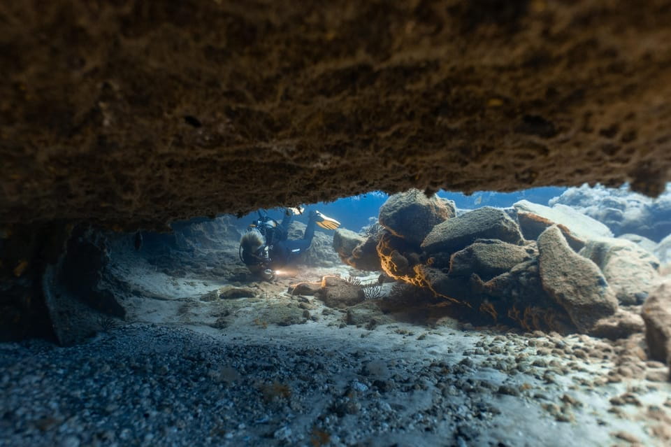 Tenerife: Scuba Diving for Certified Divers in Tenerife - Multilingual Instruction and Group Size