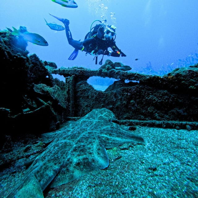 Tenerife: Scuba Diving for Certified Divers in Tenerife - Things To Know