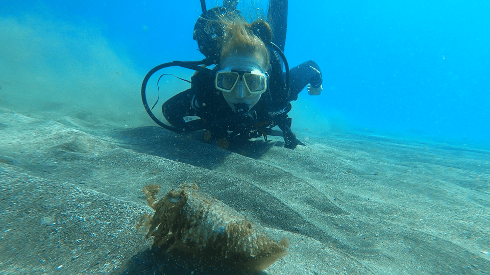 Tenerife: Scuba Diving Lesson and Abades Protected Area Dive - Key Points