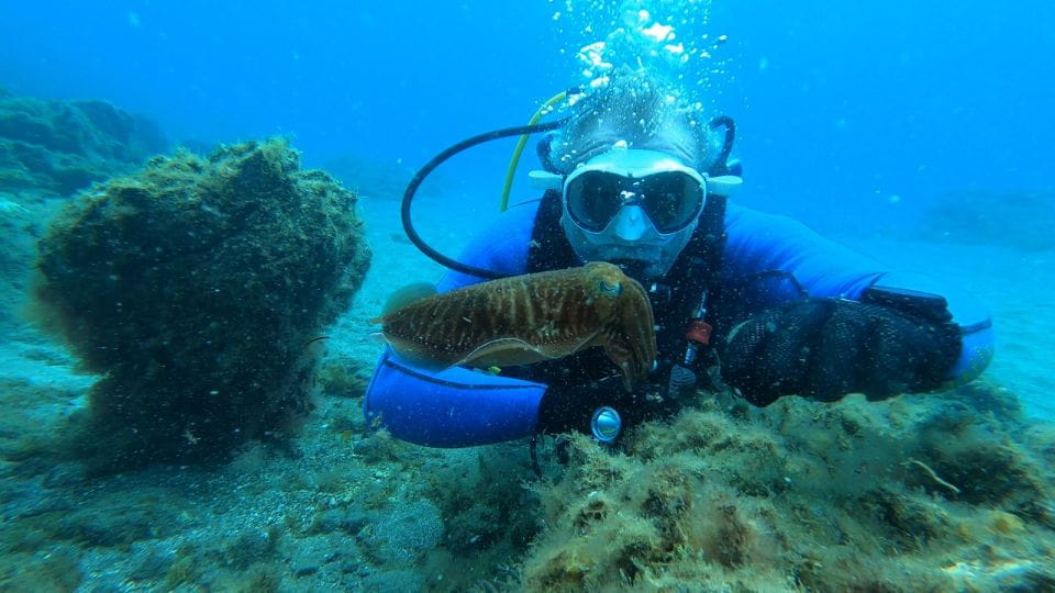 Tenerife: Scuba Diving Lesson and Abades Protected Area Dive - Preparation and What to Bring