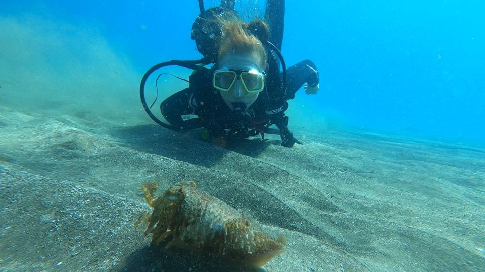 Tenerife: Scuba Diving Lesson and Abades Protected Area Dive - Things To Know