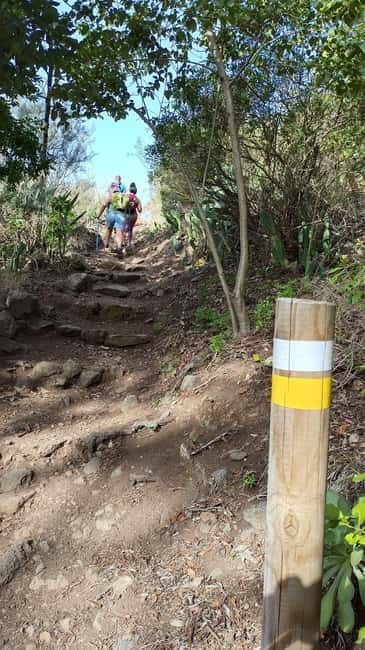 Tenerife: Senderismo Anaga, Bosque Mágico, Reserva Biosfera - Practical Details & Logistics