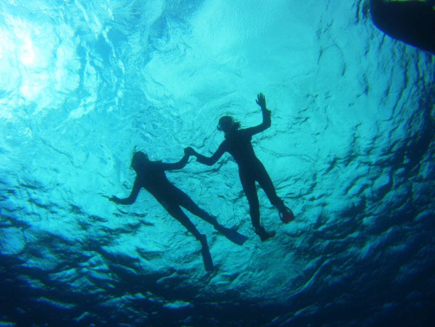 Tenerife: Snorkel With Turtles - Included in the Package