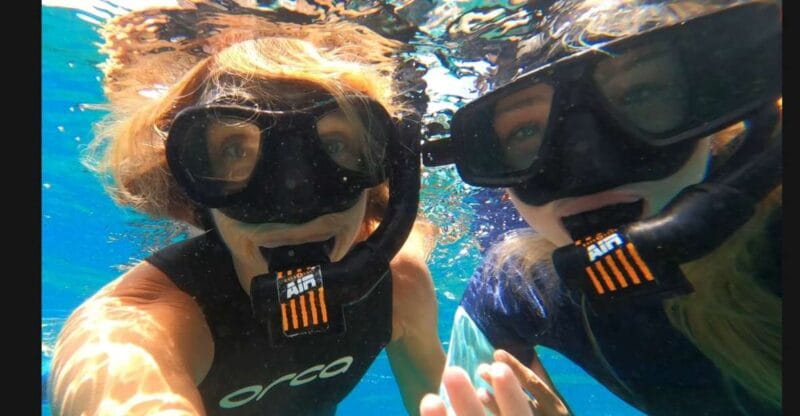 Tenerife: Snorkeling Tour in a Marine Protected Area - Key points / Takeaways