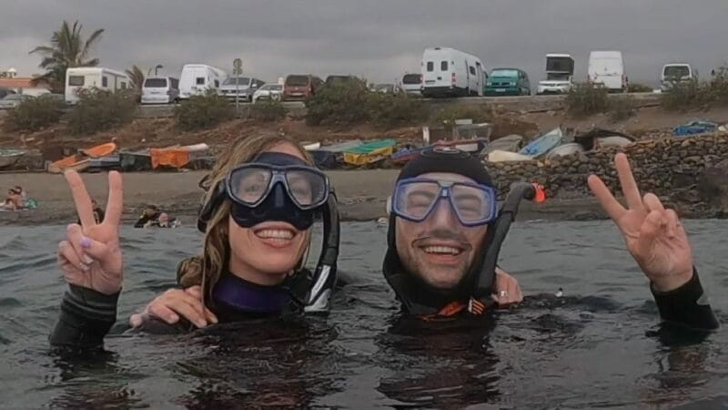 Tenerife: Snorkeling Tour in a Marine Protected Area - The Experience in Detail: What You Can Expect