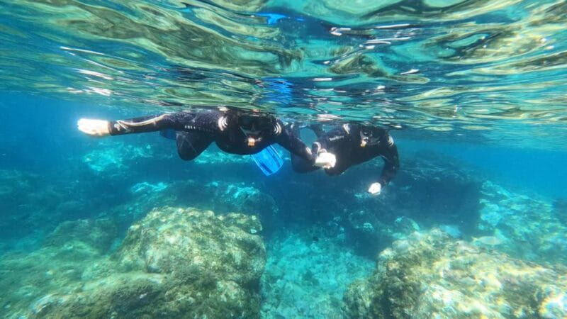 Tenerife: Snorkeling Tour in a Marine Protected Area - Price and Logistics: Is It Worth It?