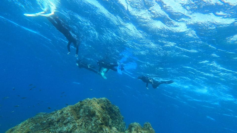 Tenerife: Snorkeling Tour in a Marine Protected Area - Customer Reviews and Feedback