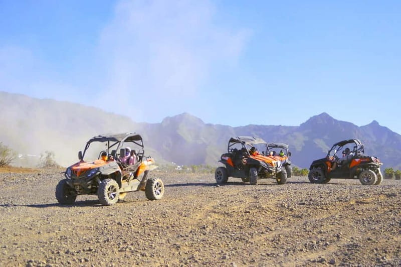 Tenerife: South Coast Buggy Tour with Off-Roading - Introducing Tenerife’s South Coast Buggy Tour